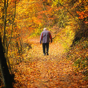 Herbst 11