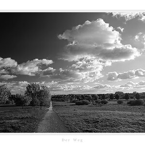 D3C 7844bw nff