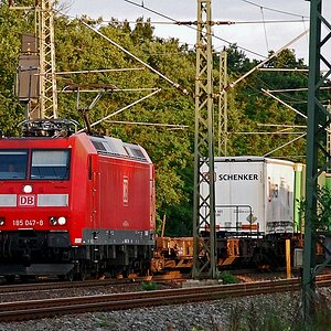 DSC 1909
