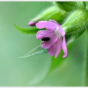 Bild 009