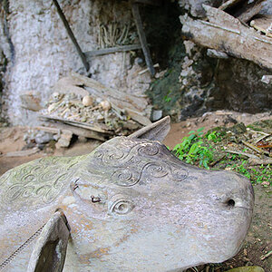 Toraja Grabstätte