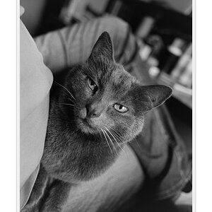 Nikon F100, Ilford FP4, Nikkor 24/2.8 AiS @ f/2.8, 1/50