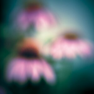 - unscharf -