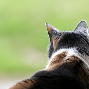 DSC 3802