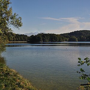 DSC 5311