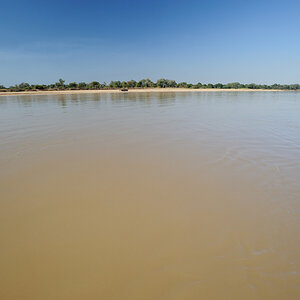 DSC3281 NFF