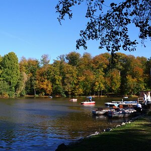 Steinbrücker Teich bei Darmstadt