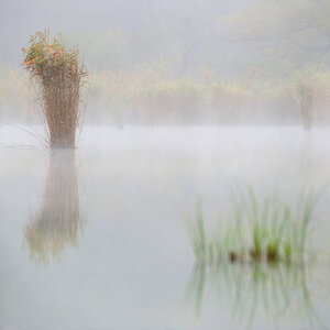 Herbst 26
