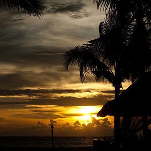2733 Malays DSC 8583