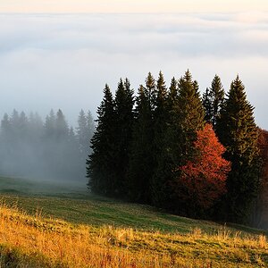 Mittag3 web