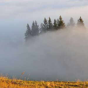 Mittag4 web