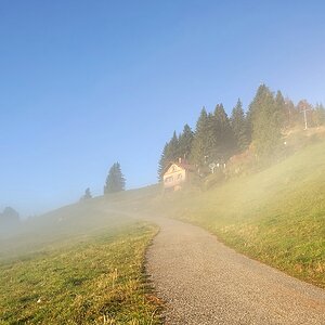 Mittag6 web