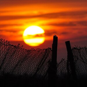 herrlicher Sonnenuntergang NFF 2