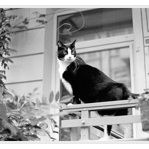F100, Ilford HP5, Nikkor 50/1.4 AiS