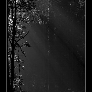 LichtDSC 0178