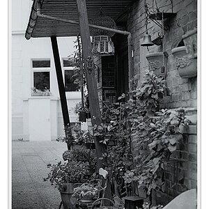 F100, Ilford HP5, Nikkor 50/1.4 AiS @ f/4