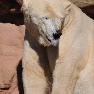 zoo23