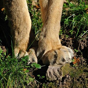 zoo14