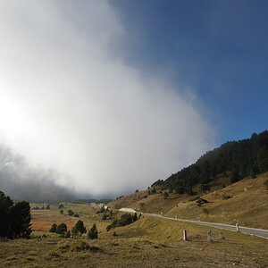 DSC 0995 2k