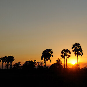 DSC3862 NFF