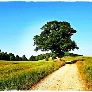 weiter, immer weiter