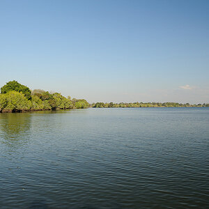 DSC3822 NFF