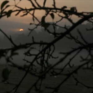 comp morgennebel 02