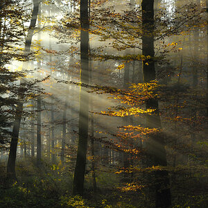 Herbst 002