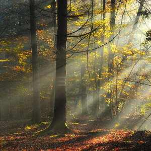 Herbst 003