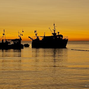 Fischerboote Hiddensee
