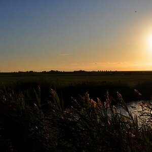 DSC 0017