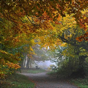 acomp nebel 0302a