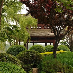 xian 12