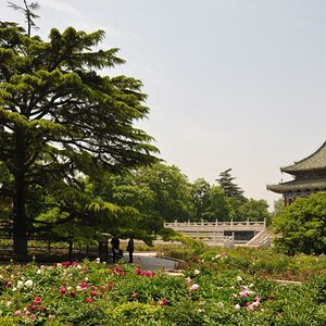 xian 20