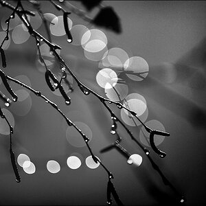 Regen D3S 2001 1a sw

· http://www.nikon-fotografie.de/vbulletin/showpost.php?p=1441648&postcount=7572

Kamera: Nikon D3S
Objektiv: AF-S VR Zoom-Nikko