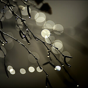 Regen D3S 2001 1a

· http://www.nikon-fotografie.de/vbulletin/showpost.php?p=1441668&postcount=1095

Kamera: Nikon D3S
Objektiv: AF-S VR Zoom-Nikkor 2