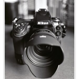 F100, Ilford FP4, Nikkor 35/2 AiS @ f/2