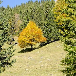 Herbst 01