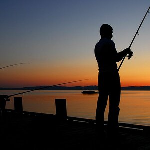 Silhouetten