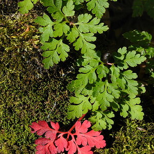 20100919 153616