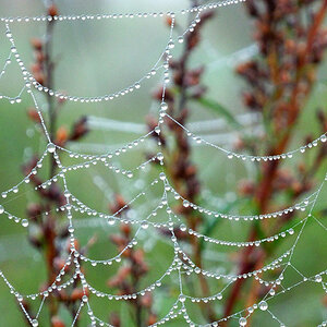 DSCN0062 nikon