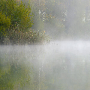 Herbst 31