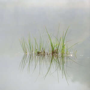 Herbst 32