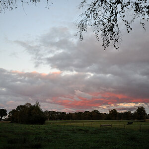 rot DSC 2491