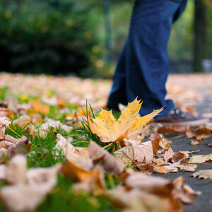 Herbst 3