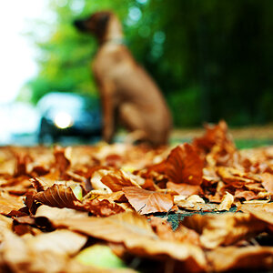 OTH 3651 Herbst 4