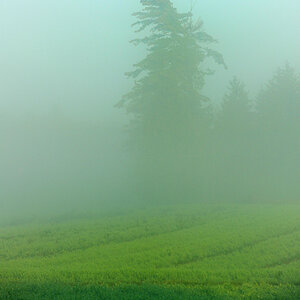 Herbst 35