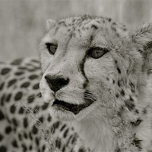DSC 7569 4