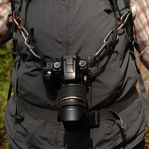 Kamera mit Karabinerhaken an Tragegurten des Rucksacks befestigt - Last wirkt nicht auf den Nacken/Hals
DSC 8069 web