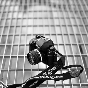 nikonf100